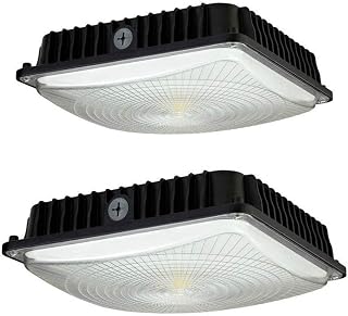 100W LED Canopy Light Industrial Waterproof Explosion-Proof Indoor Balcony Car Park Lane Gas Station Ceiling Light Equivalent 450W HID/HPS 11000 Lm 5500K DLC Qualified Pack of 2