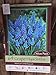 Muscari Armeniacum 64 Bulbs- Grape Hyacinth