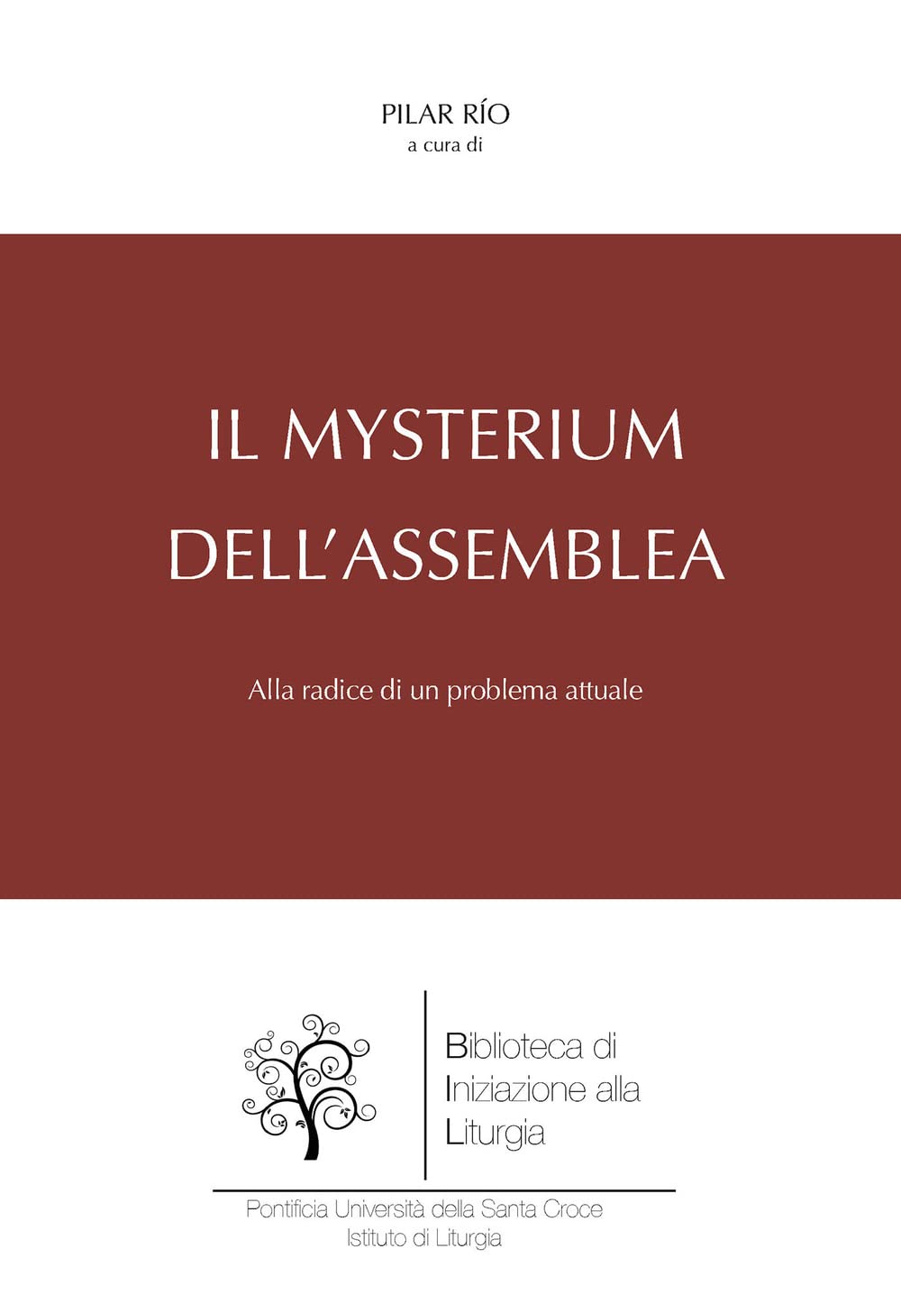 Il Mysterium Dell'assemblea. Alla Radice Di Un Problema Attuale - 4