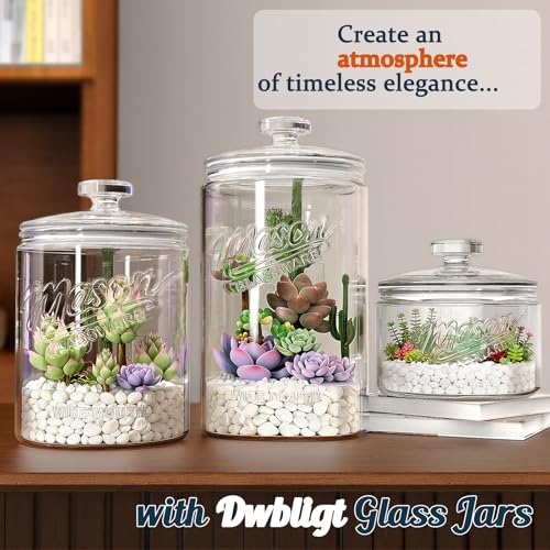 Image of 1 Gallon Glass Cookie Jar with Lid, 5.7'' Wide Mouth Mason Jars | 2 Pack Glass Canisters for Pantry Organizers & Storage, Candy Jar for Flour Sugar, Sourdough Starter, Dog Treat, Laundry Room