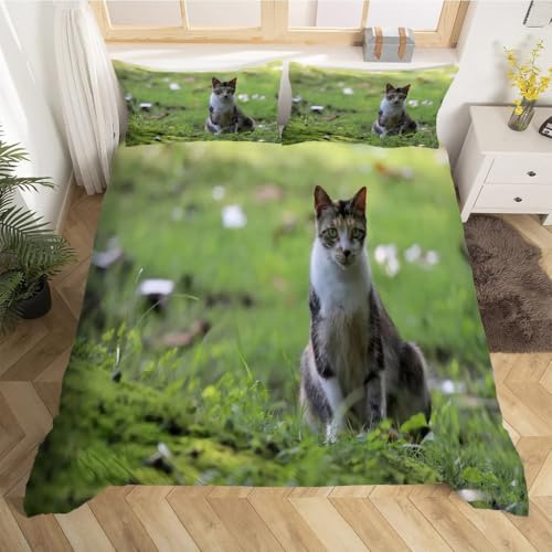 Parure de Lit 220x240 Chat Évite la Transpiration Housse Couette Microfibre Fermeture Éclair - 3