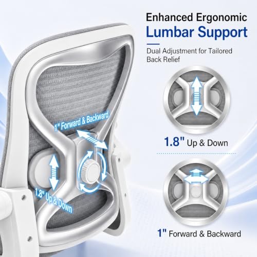 Image of Ergonomic Home Office Chair, 4-Way Lumbar, Thick Cushion, 330LBS (Gray /Finish Silver)