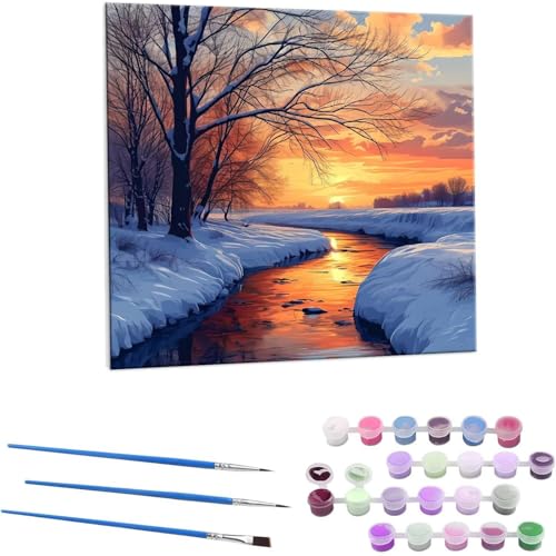 iF G Paint by Numbers hG Lbg l ʂ肦 lphGLoXNtg  LoXA[g uVƃANG̋, ItBX CeA rO, ւ̃Mtg 60x60cm (t[