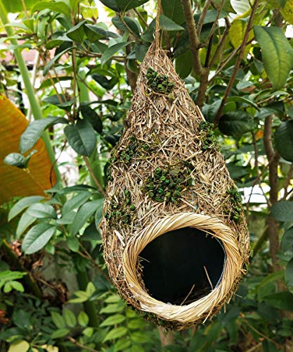 LWINGFLYER 2 peças de casa de pássaro de grama para pendurar fora cabana de pássaro tecido ninho aco