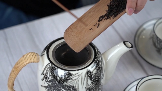 Amazon.com | TERESA'S TEASET Ceramic Tea Sets for adults with