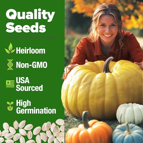 Image of HOME GROWN Pumpkin Seeds 5 Variety Mix 40+ Heirloom Non-GMO, High Germination, Connecticut Field, Blue, White & Mini Pumpkins,Edible & Jack O Lanterns,Autumn Harvest,Ornamental Garden (Cucurbita pepo)