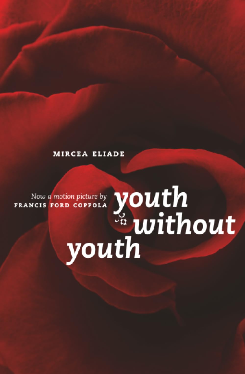 Youth Without Youth (Emersion: Emergent Village resources for communities of faith)