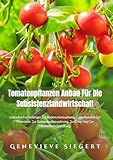 Tomatenpflanzen Anbau Für Die Subsistenzlandwirtschaft: Leitfaden Für Anfänger Zur Bodenuntersuchung, Zum Abstand, Zur Pflanztiefe, Zur Saatgutaufbewahrung, Zur Ernte Und Zur Nacherntebehandlung.