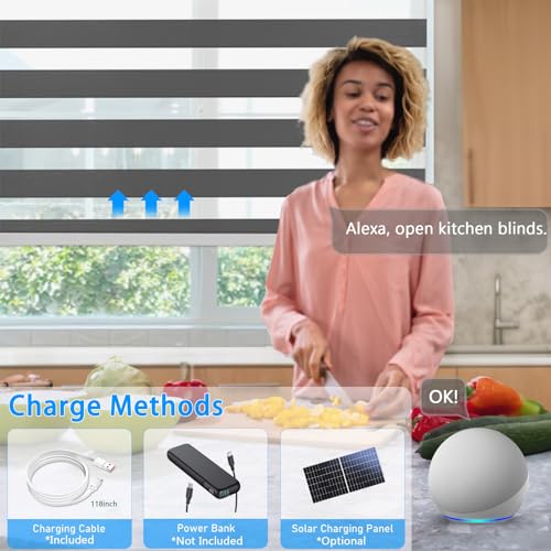 Image of Motorized Zebra Blinds for Windows Cordless Electric Curtains with Remote Control Blackout Shades Custom Smart Blinds Compatible with Alexa Google Home(Light Filtering Black,W51 X 72in)