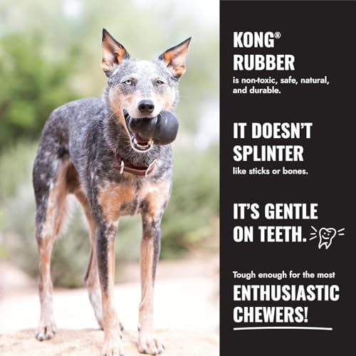 KONG Extreme Donut Dog Toy – Toughest Durable Natural Rubber Chew Toy for Power Chewers – Safe on Teeth & Gums, Fun Bounce & Roll for Indoor and Outdoor Play (Medium/Large)