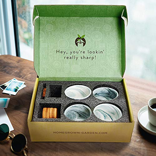 Deluxe Succulent & Cactus Seed Grow Kit - Complete Indoor Cactus & Succulent Kit W/Cactus Seeds, Potting Soil, Ceramic Succulent Pots, Water Drip Trays, Grow Guide - Mothers Day Gift For Plant Lovers #TOP7