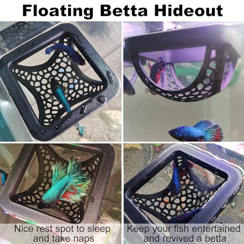 Image of Floating Betta Hammock and Feeding Ring, Aquarium Beta Hideout, Cave, Bed | 3D Printed Betta Fish Toys and Decor for Fish Tank, Resting Spots for Betta Fish, Small, Black