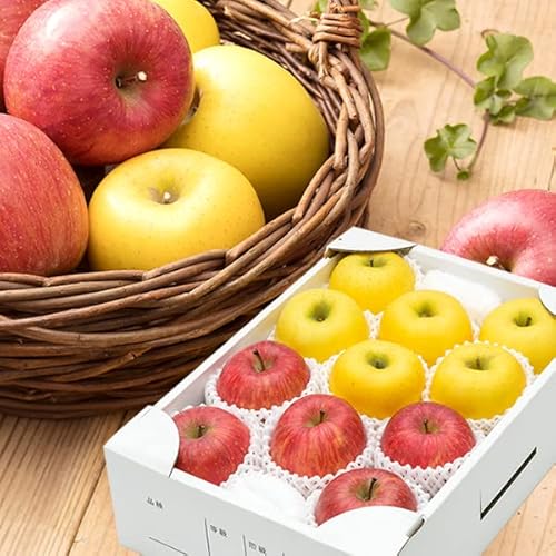 R`Y  TӂVimS[h lߍ킹 3kg (Gi/8ʁ`12ʓ/퉷i) { S ь Mtg 蕨  j j ƒp R` Yn ʕ t[c 