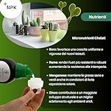 GebEarth B09V3HLH95 lato 4