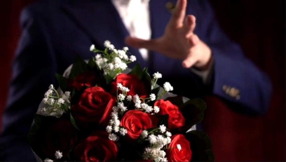 SUMAG The Bouquet Rose 9 Flowers Magic Tricks Blooming Bouquet for Lover Stage Wedding Party Stage Illusions Comedy Mentalism Funny