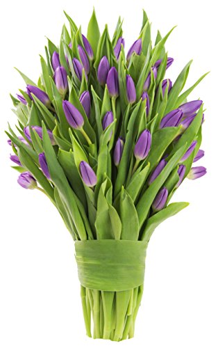 KaBloom-50 Purple Tulip Bouquet,Flowers for Valentine, Mother's Day