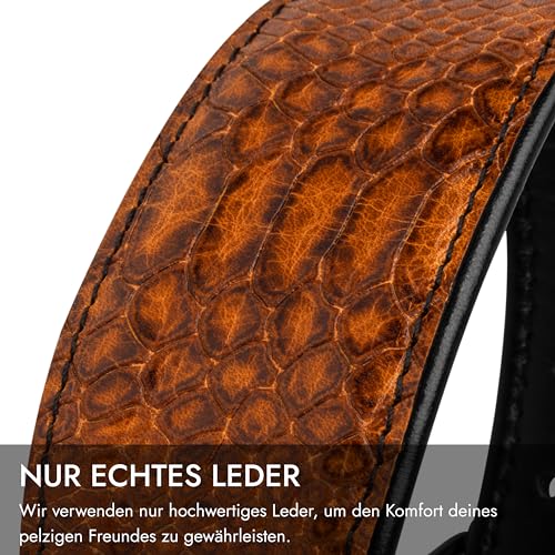 FAVPET Luxus Echtleder Windhund Halsband Breit mit QR Code Anhänger, Weiches Lederhalsband Hund Breit Whippet Italienisches Windspiel Saluki Lurcher Spanischer Galgo Greyhound Podenco (Braun, L)