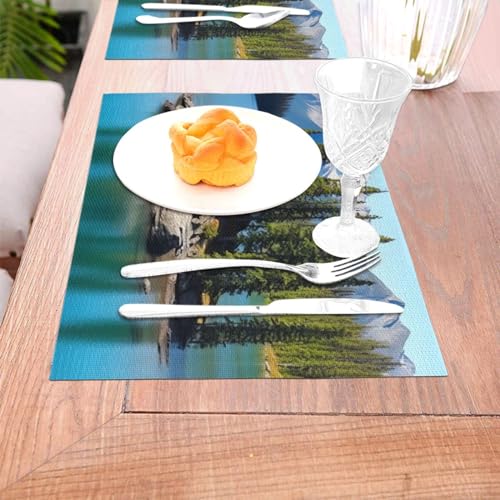 Sets de table de cuisine lavables en PVC lot de 4 tapis de table antidérapants - 6