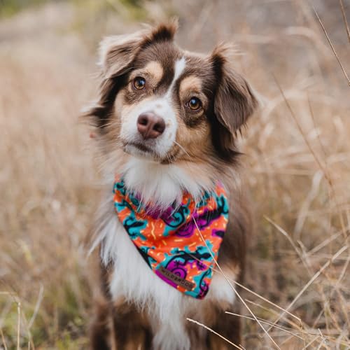 Image of Wilderdog Dog Bandana with Lightweight Quick Drying Poly-Blend Mesh Material in The Lizards