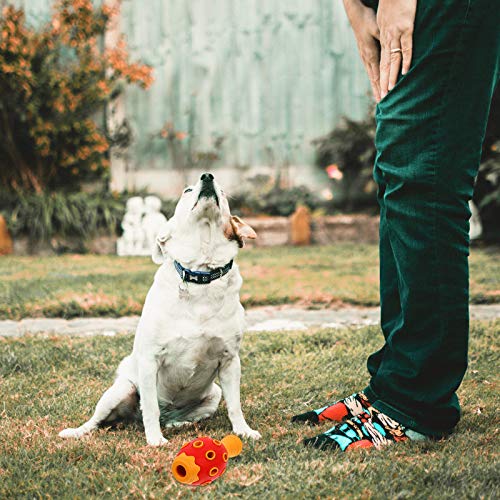 TEHAUX Brinquedo de borracha para animais de estimação, resistente a mordidas, de borracha, para squ