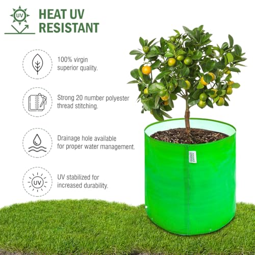 Image of Anandi Green's Premium HDPE Uv Protected 220 GSM Round Shaped Green Colour Plants Grow Bags Suitable for Terrace and Vegetable Gardening (Pack of 6, 15X15 INCH)
