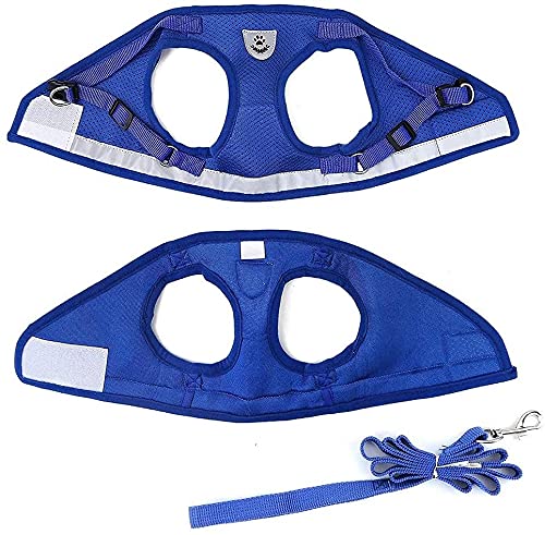 Image of Feimax Dog Harness and Leash Set, No-Pull Pet Vest Harness Soft Breathable Mesh Padded Chest Strap for Puppy and Cat, Reflective Adjustable Easy Control Harness for Small and Medium Dogs (M, Blue)