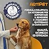 Integratore Articolazioni Cane, Sviluppato da Veterinari. Alta Qualità Made in Italy. 120 Compresse a Forma di Osso con: Glucosamina, Condroitina, Artiglio del Diavolo, MSM. Nuova Formula Cani e Gatti
