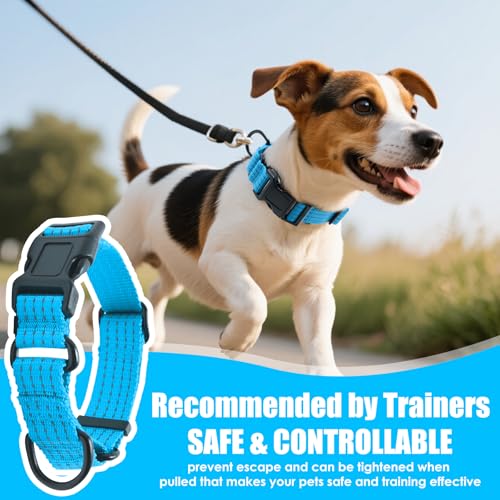 Image of Martingale Dog Collar, Reflective No Pull with Buckle, Sky Blue, S | Escape Proof without choking ,Training Collar with Quick Release Buckle, Adjustable Heavy Duty Nylon collars for S M L Dogs