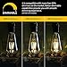 Brightown 6 Pack LED Edison Bulbs, 6W, Equivalent 60W, High Bright 5000K White,750 Lumens, Non-Dimmable, E26 Medium Base ST58 Antique Filament Bulbs with 83+ CRI for Ceiling Fan Bathroom Porch