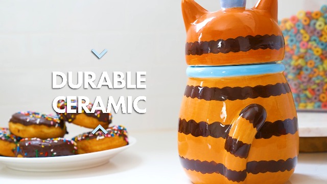 Amazon.com: 100 North Dolomite Ceramic 10 x 6.3 Everyday Cookie