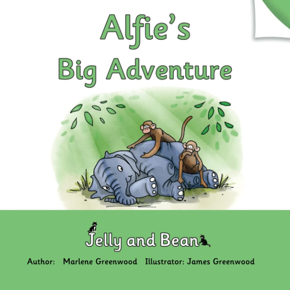 Alfie's Big Adventure (Jelly and Bean Reading Scheme)