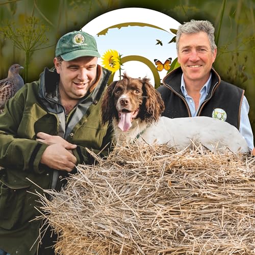 Working Relationships