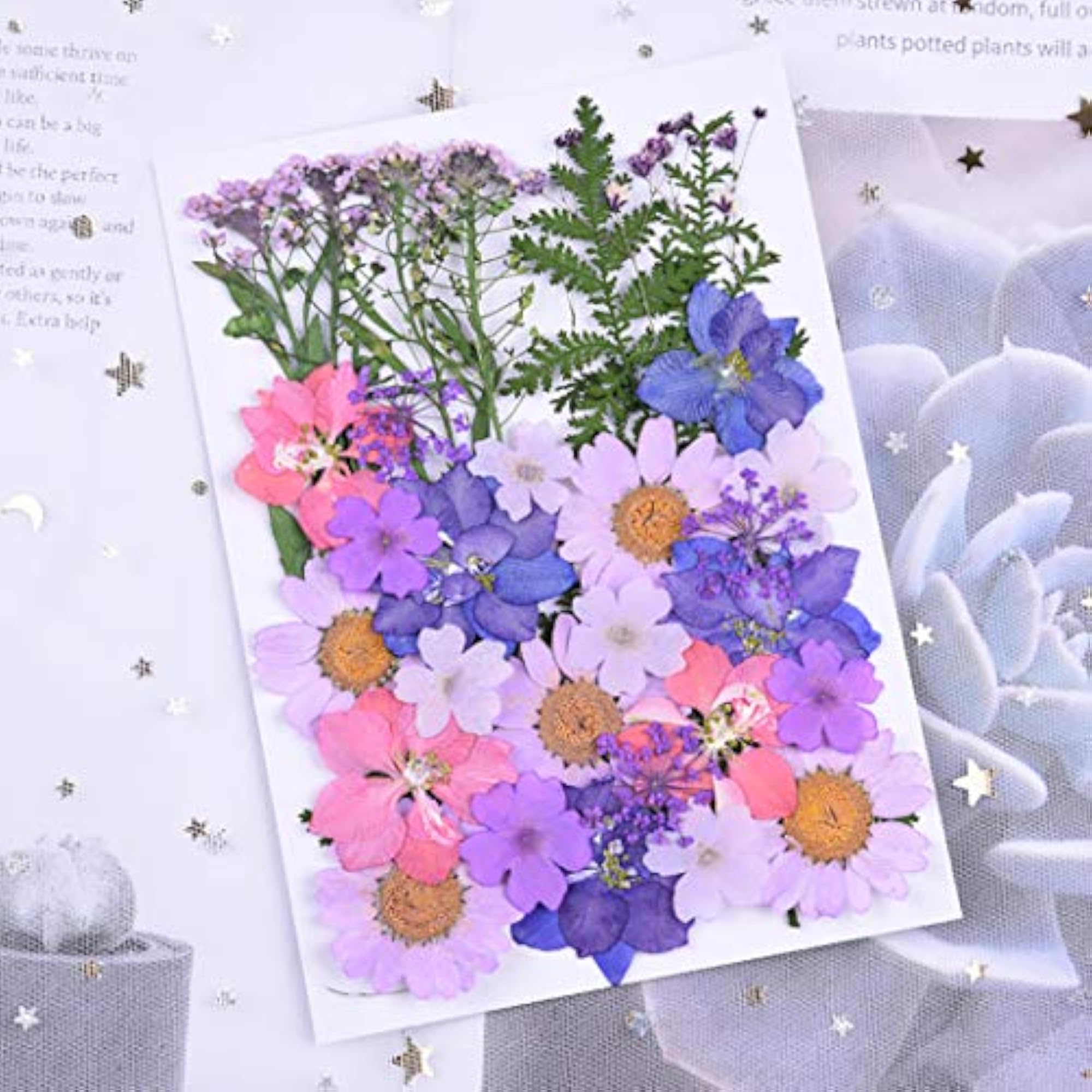 34PCS Dried Flower Multifunctional Decorative Kit for Crafts