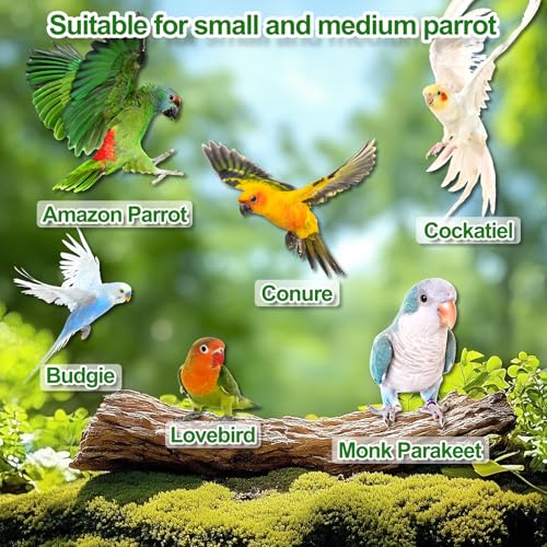 Image of Bird Perch for Cage, Bird Parakeet Cage Accessories, 4 in 1 Bird Swing Platform Chewing Toys, Made of Wood