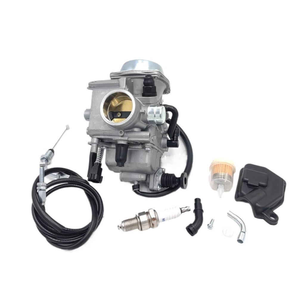 Carburateur pour modèle 450 idéal pour l'entretien du jardin