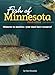 Fish of Minnesota Field Guide (Fish Identification Guides)