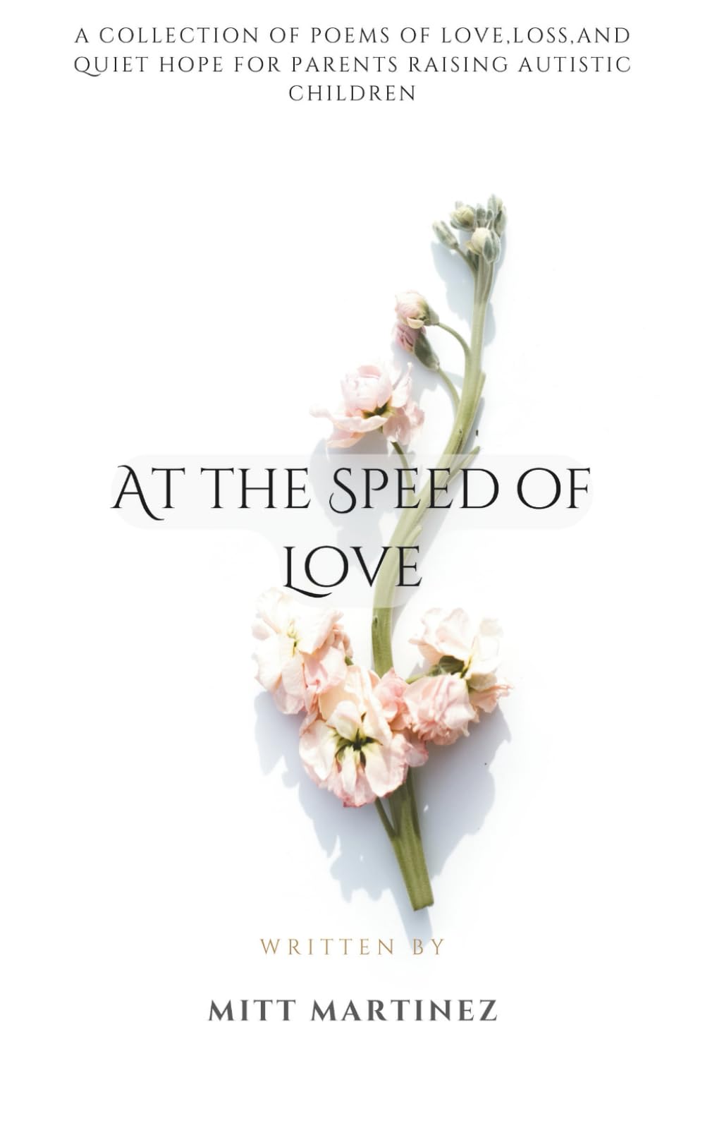 At the Speed of Love: a collection of POEMS OF LOVE,LOSS,AND QUIET HOPE FOR PARENTS RAISING AUTISTIC CHILDREN