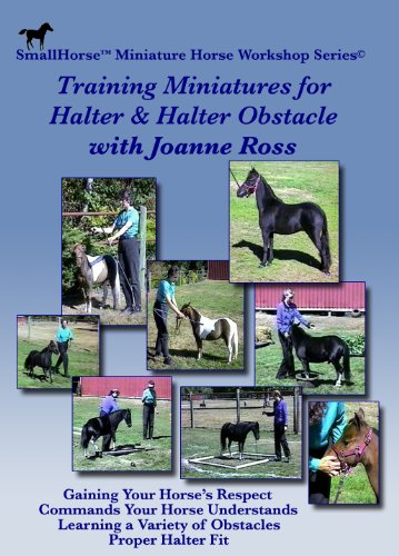Training Miniature Horses for Halter and Halter Obstacle