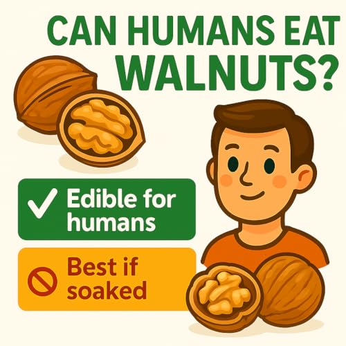 Image of Crazy Nuts | California Grown Whole Walnuts In Shell, 1lb | Raw Walnuts Whole Bulk, Nuts in Shells for Squirrels (Pack of 2)