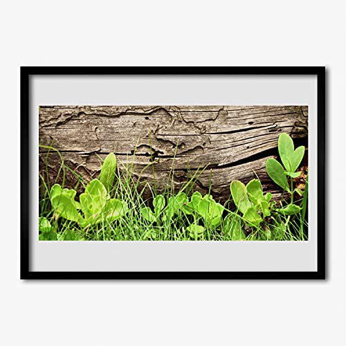 Photo image feuilles d'herbe Tulup affiche encadrée 70x50 cm avec cadre moderne