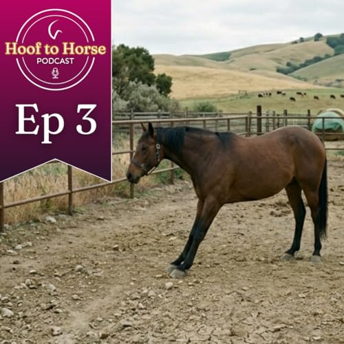 Laminitis Hot Takes (Part 1)