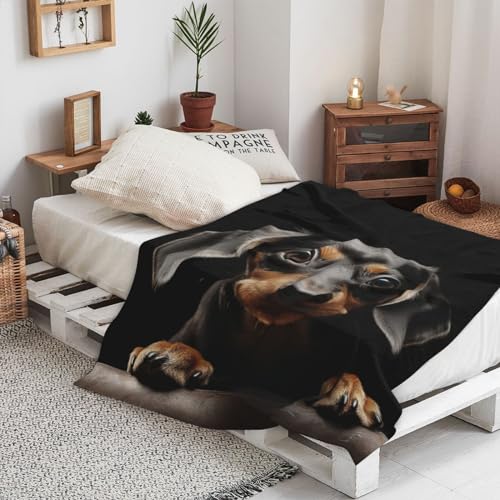 Couverture chaude teckel : un plaid doux plein de réconfort - 7