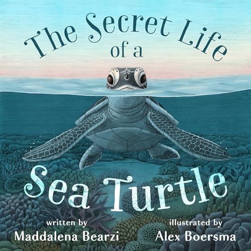 The Secret Life of a Sea Turtle by Maddalena Bearzi, Alex Boersma - illustrator episode artwork