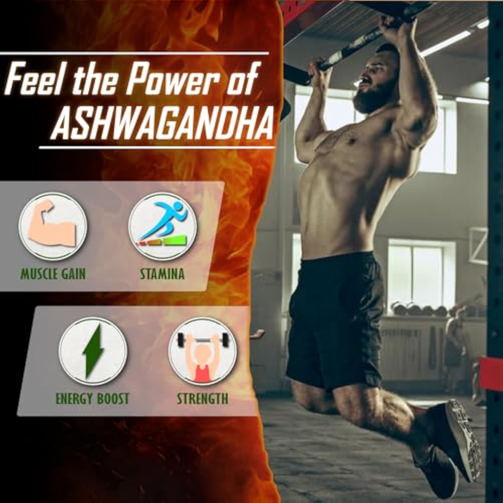 Ashwagandha Tablets for General Wellness and Immunity
