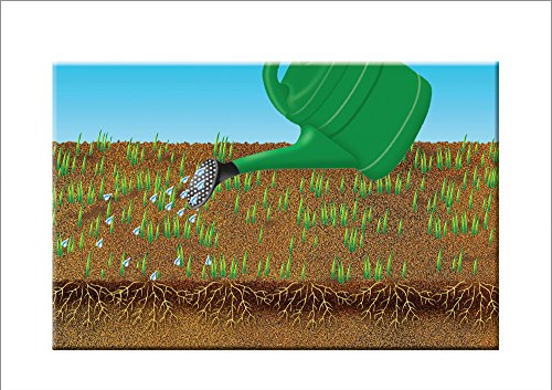 COMPO graszaad, spel en sport, universele grasmix 8 kg Graszaad, spel en sport. 11 x 35 x 64 cm geel - Afbeelding 8