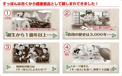 Amazon | すっぽん皇帝3本 1本=300mg×45粒入 国産 素材7種（ マカ