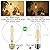 LiteHistory Dimmable E26 Edison Bulb, AC120V Warm White 2700K Light Bulbs, 6W Equal 60 watt 600LM Tubular T10 led for Rustic Pendant,Chandeliers,Wall sconces,Vanity 6Pack