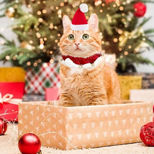 hoyuwak Sombrero y Collar de Santa para Perro Mediano o Pequeño miniatura 5