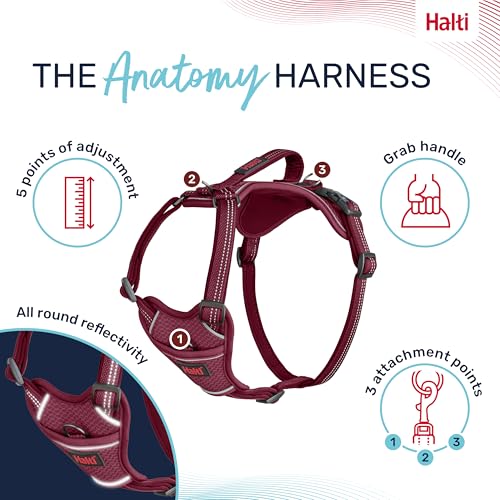 Image of Halti Anatomy Dog Harness with Handle | Size XL, Magenta | Padded, Adjustable & Reflective No Pull Dog Harness, 3 Leash Attachment Points including Front Clip, Suitable for Large Dogs