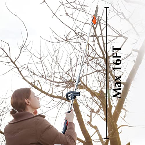 42.7CC Long Reach Pole Saw
